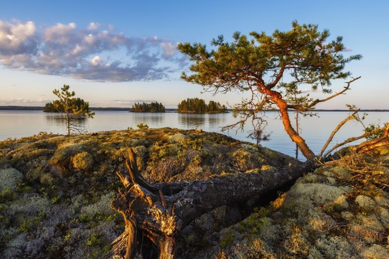 Elävä Saimaa -luontokuvauskurssi  